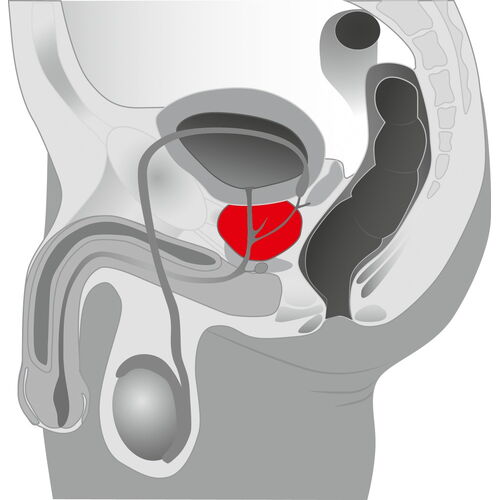 Rotační černý stimulátor prostaty Prostate Massager