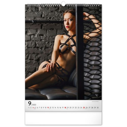Nástěnný erotický kalendář PERVY GIRLS 2022